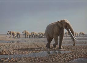 First Of Its Kind Abu Dhabi Conference To Bring Fossil Discoveries To The Public