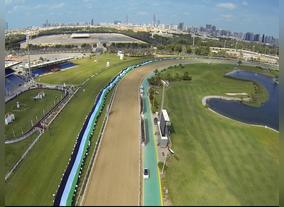 UAE breaks Guinness World Record and presents the achievement to H.H. Sheikh Khalifa Bin Zayed