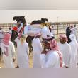 Baynounah Camel Festival (Mazayna) Kicks Off with Participation of Emirati Camel Owners