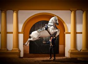 Turkish Airlines announces increased flights  to Malaga at Andalusia roadshow in Dubai