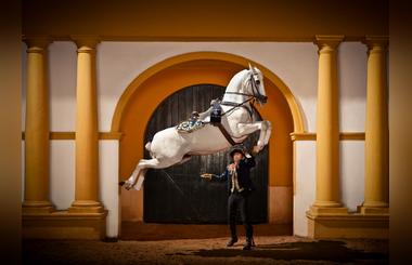 Turkish Airlines announces increased flights  to Malaga at Andalusia roadshow in Dubai