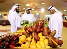 Liwa Dates Festival Contributes to the Improvement of Environmental Awareness among its Visitors