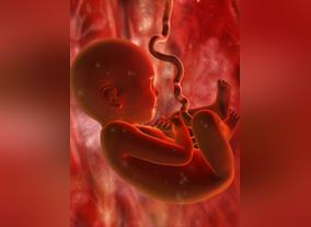 GOSH surgeons to play key role in foetal surgery project