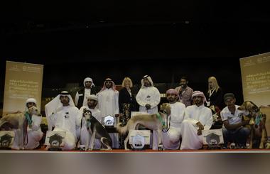 Abu Dhabi International Hunting & Equestrian Exhibition To Organise 9th  Arabian Saluki Beauty Contest 2014 