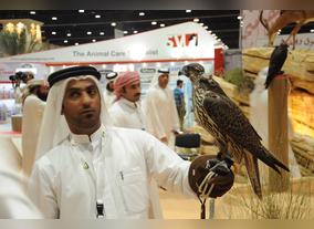 Emirates Falconers Club Organizes "The Worlds Falcons Beauty Contest"
