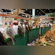 Extensive Participation of GCC Countries in the Abu Dhabi International Hunting and Equestrian Exhibition in September