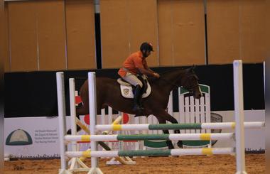 From Cute To Spectacular, Animals Put Up The Best Tricks At Adihex' Arena