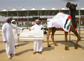 Emirati nationals provide significant support to the Baynounah Camel Festival and donate valuable prizes for the different laps of the Competition