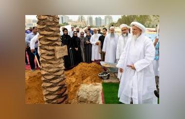 Dubai Culture Launches Summer Blessings Event to Celebrate the Palm Tree