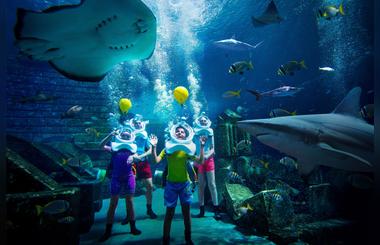 Fintastic Fun Awaits During Aquaventure World's Summer of Sharks Celebrating the UAE's Native Species