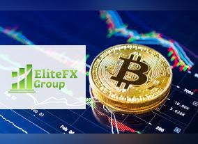 Elitefxgroup Exposed for Crypto Scamming Activities