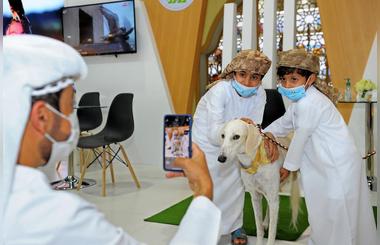 Abu Dhabi International Hunting & Equestrian Exhibition (ADIHEX) Celebrates the Saluki Dogs (The Arabian Saluki Greyhound)