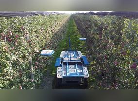 Tevel Aerobatics Technologies seeks to secure the UAE fruit supply chain through drone technology 