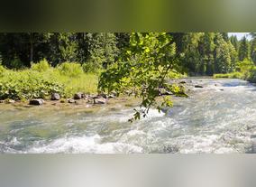 Nestl Waters focuses on positive water impact by regenerating local water cycles  