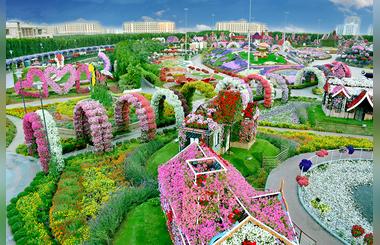 Temporary Closure Announced By Dubai Miracle Garden & Dubai Butterfly Garden 