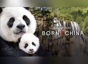 Explore the wonders of Eastern culture and history this Chinese New Year with STARZPLAY