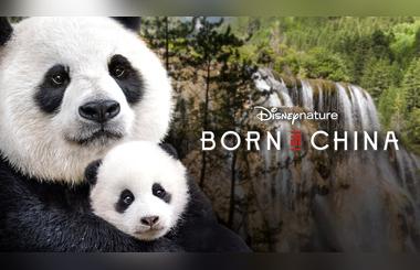Explore the wonders of Eastern culture and history this Chinese New Year with STARZPLAY