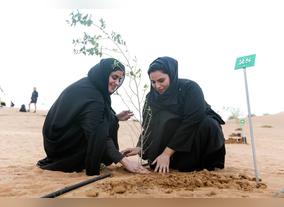 Sharjah Commerce and Tourism Development Authority and the EPAA organises an environmental initiative at El Mentether