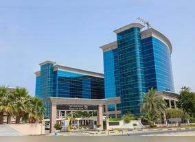 More than 700 insurance certificates issued for AFZ workers in cooperation with Dubai Insurance