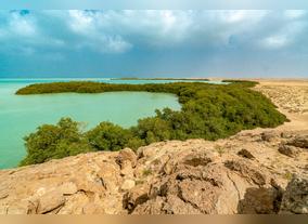 Discover the beauty of Saudi Arabia with Tajawal