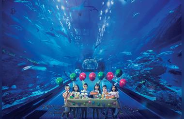Emaar Entertainments party packages invite you to celebrate the fun-filled birthday