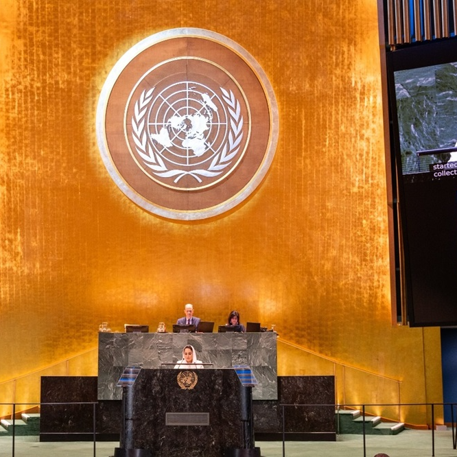 DCO Secretary-General Praises Global Digital Compact at UN Summit of the Future